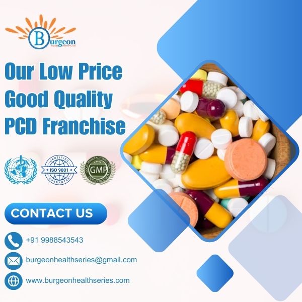 Our Low Price Good Quality PCD Franchise